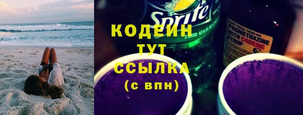 индика Богородицк