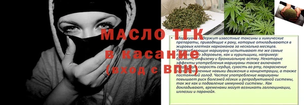 индика Богородицк