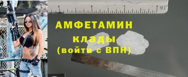 индика Богородицк