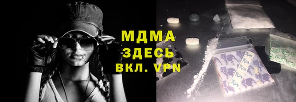 индика Богородицк