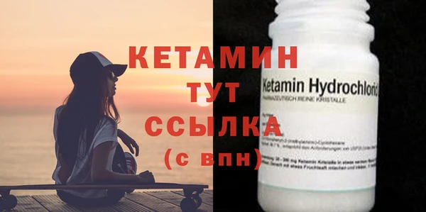 индика Богородицк