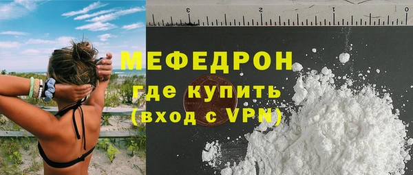 индика Богородицк