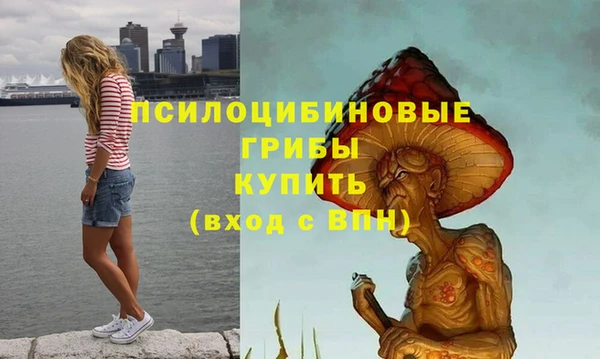 индика Богородицк