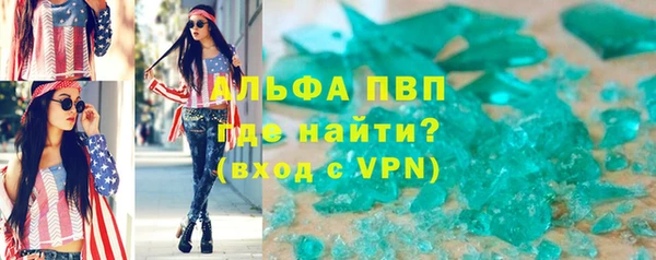 индика Богородицк