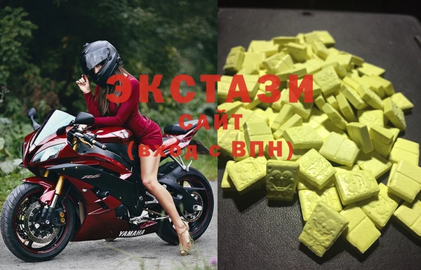 индика Богородицк