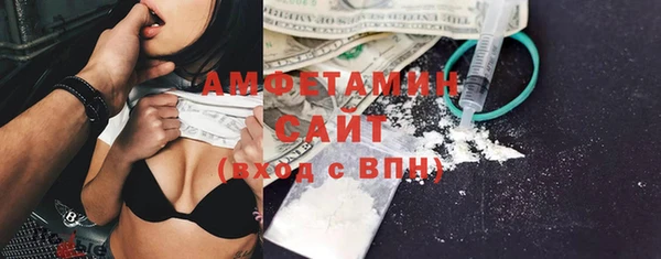 индика Богородицк