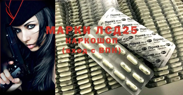 индика Богородицк