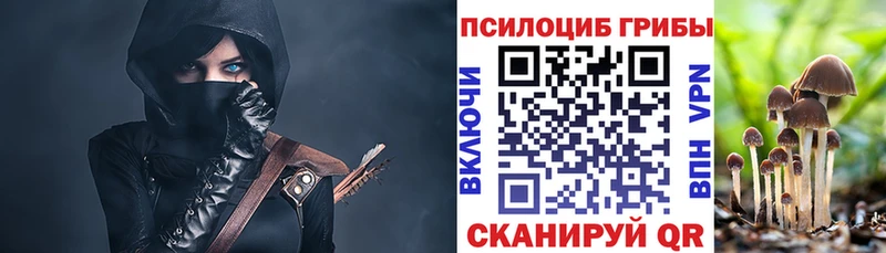 сколько стоит  Мосальск  Псилоцибиновые грибы ЛСД 